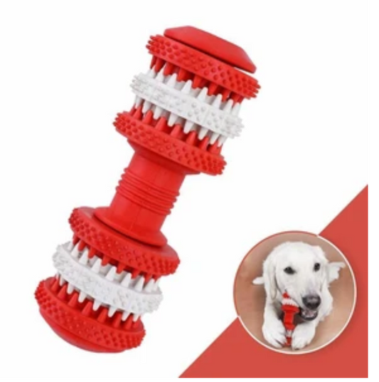 Dog Leaky Dumbbell Molar Rod