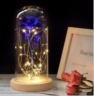 Mothers Day Gift Enchanted Forever Rose Flower In Glass LED Light Home Decoration