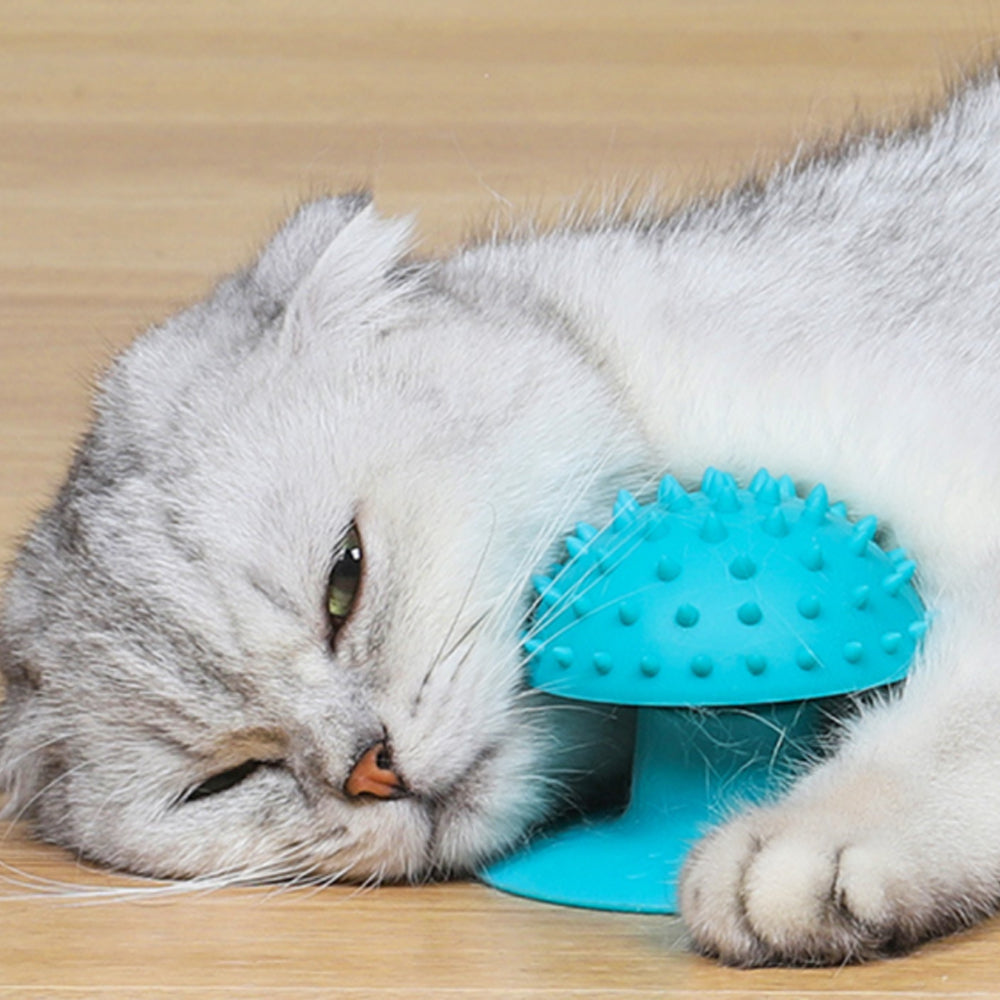 Pet Cat Sucker Rubbing Hair Massager Cat Scratching Scratching Rubbing Device