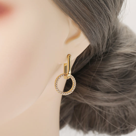 European And American Fashion Personality Earrings